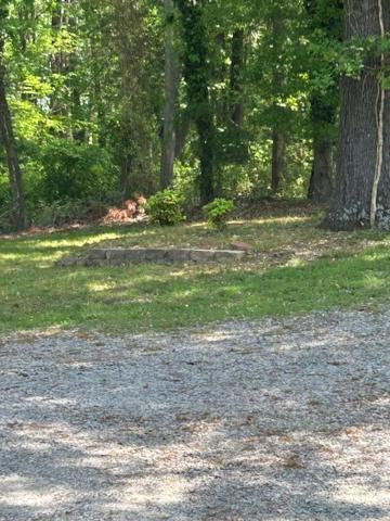 Serene Retreat! 420 Friendly In Designated Area, 3 Minutes To Downtown Richmond Exteriör bild